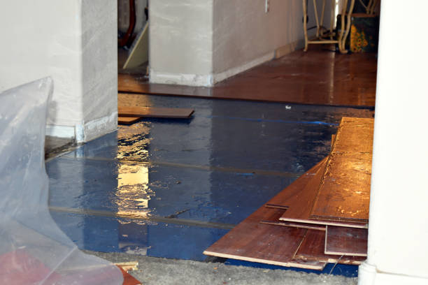 Professional Sewage Cleanup technician working in Forreston, TX