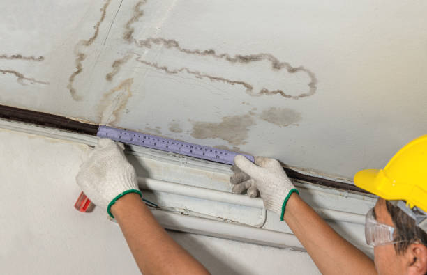 Reliable Sewage Cleanup contractor in Forreston, TX by Water Damage Irwin